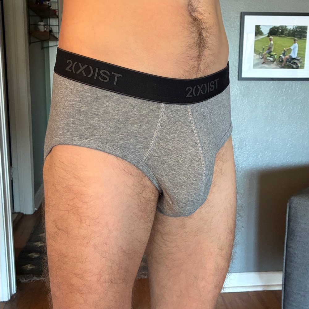 2xist Gray Men's Briefs